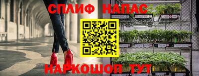 скорость Аргун