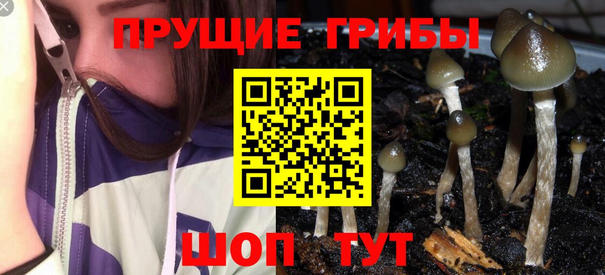 Белорецк  Псилоцибиновые грибы GOLDEN TEACHER  Галлюциногенные грибы Cubensis  Вход с VPN 